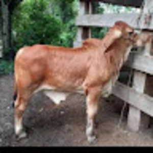 Meet your Posher, Ruben